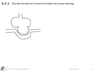 http://sciencevideos.wordpress.com Draw the Core 57
6.4.3 Describe the features of alveoli that adapt them to gas exchange.
 