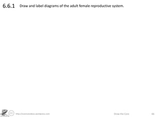 http://sciencevideos.wordpress.com Draw the Core 66
6.6.1 Draw and label diagrams of the adult female reproductive system.
 