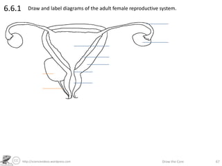 http://sciencevideos.wordpress.com Draw the Core 67
6.6.1 Draw and label diagrams of the adult female reproductive system.
 