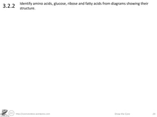 http://sciencevideos.wordpress.com Draw the Core 24
3.2.2 Identify amino acids, glucose, ribose and fatty acids from diagr...