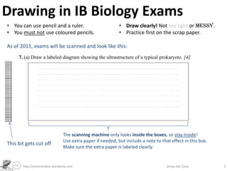 Drawing in IB Biology Exams
http://sciencevideos.wordpress.com Draw the Core 3
7. (a) Draw a labeled diagram showing the u...