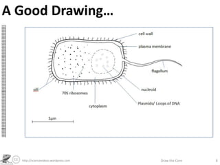 A Good Drawing…
http://sciencevideos.wordpress.com Draw the Core 8
 