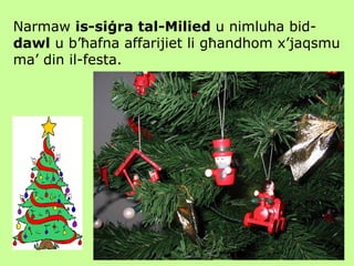Narmaw  is-siġra tal-Milied  u nimluha bid- dawl  u b’ħafna affarijiet li għandhom x’jaqsmu ma’ din il-festa. 
