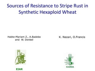 Sources of Resistance to Stripe Rust in Synthetic Hexaploid Wheat   Habte-Mariam Z., A.Badebo and  W. Denbel     K. Nazari, O.Francis   EIAR 