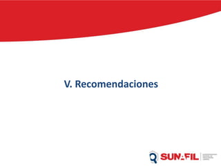V. Recomendaciones
 