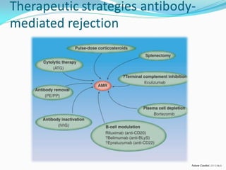 Therapeutic strategies antibody-
mediated rejection
 