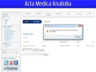 Dergipark OJS Ayarları