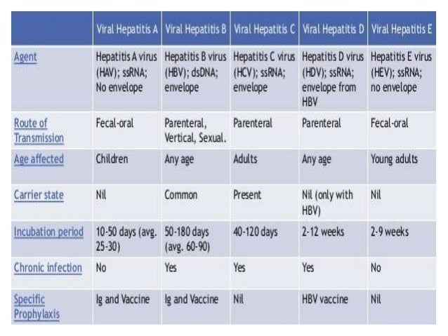 Acute Viral Hepatitis Acute Viral Hepatitis
