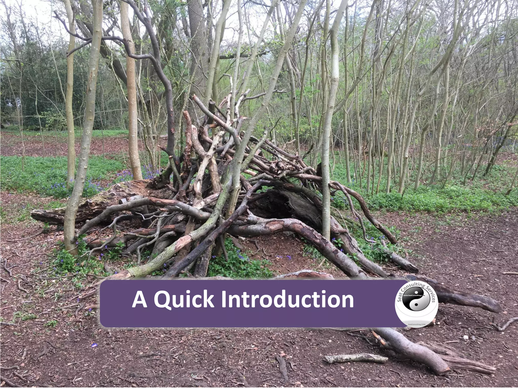 A Quick Introduction
 