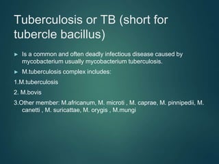 Tuberculosis or TB (short for
tubercle bacillus)
► Is a common and often deadly infectious disease caused by
mycobacterium usually mycobacterium tuberculosis.
► M.tuberculosis complex includes:
1.M.tuberculosis
2. M.bovis
3.Other member: M.africanum, M. microti , M. caprae, M. pinnipedii, M.
canetti , M. suricattae, M. orygis , M.mungi
 