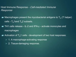 Host Immune Response - Cell-mediated Immune
Response
▰ Macrophages present the mycobacterial antigens to TH (T helper)
cells - TH1and TH2 subsets.
▰ TH1 cells release - IL-2 and IFN-γ - activate monocytes and
macrophages
▰ Activation of TH1 cells - development of two host responses:
 1. A macrophage-activating response
 2. Tissue-damaging response.
 