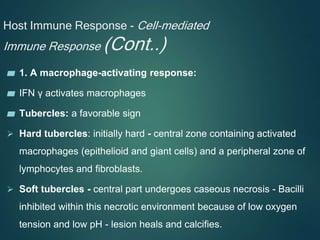 Host Immune Response - Cell-mediated
Immune Response (Cont..)
▰ 1. A macrophage-activating response:
▰ IFN γ activates macrophages
▰ Tubercles: a favorable sign
 Hard tubercles: initially hard - central zone containing activated
macrophages (epithelioid and giant cells) and a peripheral zone of
lymphocytes and fibroblasts.
 Soft tubercles - central part undergoes caseous necrosis - Bacilli
inhibited within this necrotic environment because of low oxygen
tension and low pH - lesion heals and calcifies.
 