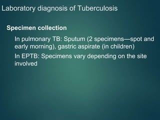 Laboratory diagnosis of Tuberculosis
● Specimen collection
⮚ In pulmonary TB: Sputum (2 specimens—spot and
early morning), gastric aspirate (in children)
⮚ In EPTB: Specimens vary depending on the site
involved
 