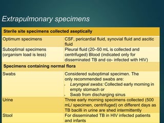 Extrapulmonary specimens
Sterile site specimens collected aseptically
Optimum specimens CSF, pericardial fluid, synovial fluid and ascitic
fluid
Suboptimal specimens
(organism load is less)
Pleural fluid (20–50 mL is collected and
centrifuged) Blood (indicated only for
disseminated TB and co- infected with HIV)
Specimens containing normal flora
Swabs Considered suboptimal specimen. The
only recommended swabs are:
 Laryngeal swabs: Collected early morning in
empty stomach or
 Swab from discharging sinus
Urine Three early morning specimens collected (500
mL/ specimen, centrifuged) on different days as
TB bacilli in urine are shed intermittently
Stool For disseminated TB in HIV infected patients
and infants
 