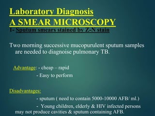 Laboratory Diagnosis
A SMEAR MICROSCOPY
1- Sputum smears stained by Z-N stain
Two morning successive mucopurulent sputum samples
are needed to diagnoise pulmonary TB.
Advantage: - cheap – rapid
- Easy to perform
Disadvantages:
- sputum ( need to contain 5000-10000 AFB/ ml.)
- Young children, elderly & HIV infected persons
may not produce cavities & sputum containing AFB.
 