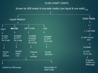 50
FLOW CHART CONTD.
Screen by AFB smear & inoculate media (one liquid & one solid)
Liquid Medium Solid Media
MGIT BACTEC SEPTI-CHEK CMS
Incubate
At 37ºC
For 6 wks
Incubate
At 37ºC
For 6 wks
Incubate
inverting
At 37ºC
For 8 wks
Incubate
At 37ºC
For 6 wks
Fluoresc-
-ence
detected
Growth
Index
>10
Colonies
or
turbidity
Growth
detected
Confirm by AFB smear Reinoculate on
Solid media
L J
L J with RNA
LJ with Pyruvic
acid
Incubate
At 37ºC
For 8 wks
If growth
Confirm on
AFB smear
 