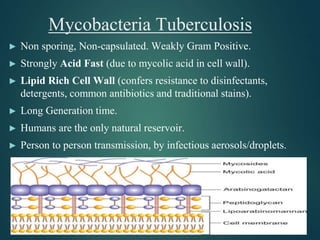 Mycobacteria Tuberculosis
► Non sporing, Non-capsulated. Weakly Gram Positive.
► Strongly Acid Fast (due to mycolic acid in cell wall).
► Lipid Rich Cell Wall (confers resistance to disinfectants,
detergents, common antibiotics and traditional stains).
► Long Generation time.
► Humans are the only natural reservoir.
► Person to person transmission, by infectious aerosols/droplets.
 