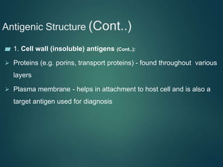 Antigenic Structure (Cont..)
▰ 1. Cell wall (insoluble) antigens (Cont..):
 Proteins (e.g. porins, transport proteins) - found throughout various
layers
 Plasma membrane - helps in attachment to host cell and is also a
target antigen used for diagnosis
 