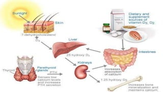 vitamin D deficiency | PPTX