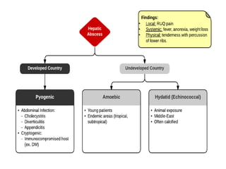 Liver Abscesses Algorithm Liver Abscess Diagnose & Treatment .pptx