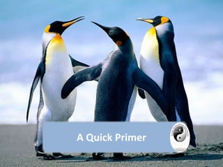 A Quick Primer
 