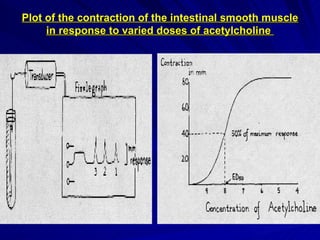 Plot of the contraction of the intestinal smooth muscle
Plot of the contraction of the intestinal smooth muscle
in response to varied doses of acetylcholine
in response to varied doses of acetylcholine
 