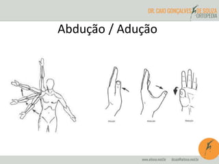 Abdução / Adução
 