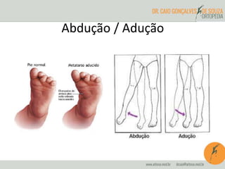Abdução / Adução
 
