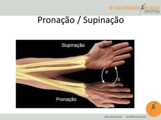 Pronação / Supinação
 