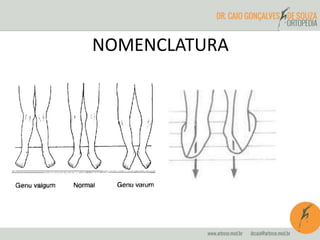 NOMENCLATURA
 
