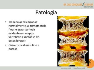 Patologia 
• Trabéculas calcificadas 
normalmente se tornam mais 
finas e esparsas(mais 
evidente em corpos 
vertebrais e metáfise de 
ossos longos) 
• Osso cortical mais fino e 
poroso 
 