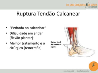 Ruptura Tendão Calcanear 
• “Pedrada no calcanhar” 
• Dificuldade em andar 
(flexão plantar) 
• Melhor tratamento é o 
cirúrgico (tenorrafia) 
 