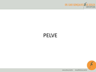 PELVE 
 