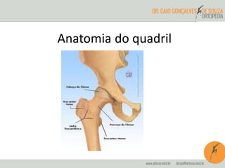 Anatomia do quadril 
 