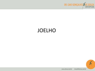JOELHO 
 