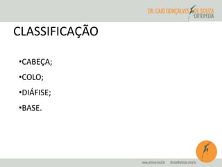 CLASSIFICAÇÃO 
•CABEÇA; 
•COLO; 
•DIÁFISE; 
•BASE. 
 