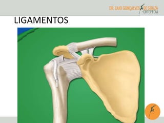 LIGAMENTOS 
 
