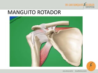 MANGUITO ROTADOR 
 
