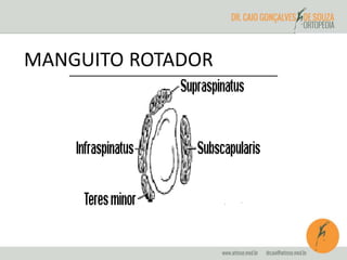 MANGUITO ROTADOR 
 