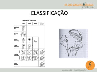 CLASSIFICAÇÃO 
 