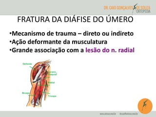 FRATURA DA DIÁFISE DO ÚMERO 
•Mecanismo de trauma – direto ou indireto 
•Ação deformante da musculatura 
•Grande associação com a lesão do n. radial 
 
