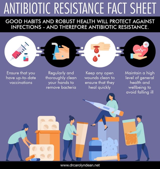 Antibiotic Resistance Fact Sheet | PDF