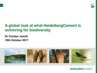 A global look at what HeidelbergCement is
achieving for biodiversity
Dr Carolyn Jewell
19th October 2017
 