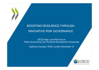 BOOSTING RESILIENCE THROUGH 
INNOVATIVE RISK GOVERNANCE 
OECD High Level Risk Forum 
Public Governance and Territorial Development Directorate 
Catherine Gamper, RUSI, London November 13 
 