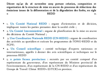 Arrêté ministériel n°004/CAB/MIN/ECN-T /012 du 15 février 2012
fixant la procédure d’homologation des projets REDD+
Effica...