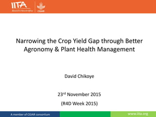 www.iita.orgA member of the CGIAR consortium www.iita.orgA member of CGIAR consortium
Narrowing the Crop Yield Gap through Better
Agronomy & Plant Health Management
David Chikoye
23rd November 2015
(R4D Week 2015)
 