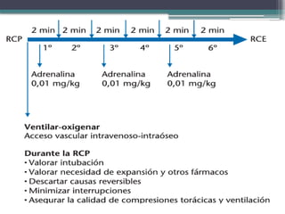 Comprehensive Guide to Advanced Cardiopulmonary Resuscitation (RCP ...