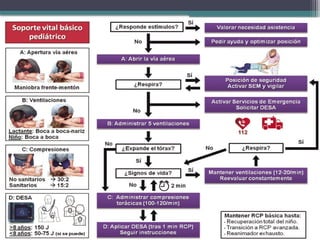Comprehensive Guide to Advanced Cardiopulmonary Resuscitation (RCP ...