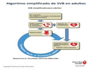Comprehensive Guide to Advanced Cardiopulmonary Resuscitation (RCP ...