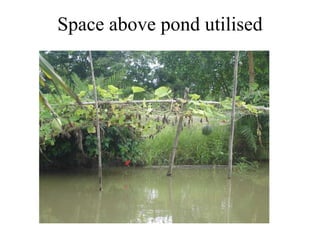 Space above pond utilised 